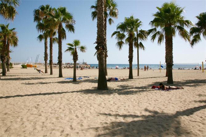 Sun And Beach Lovers 12019 La Pineda Zewnętrze zdjęcie