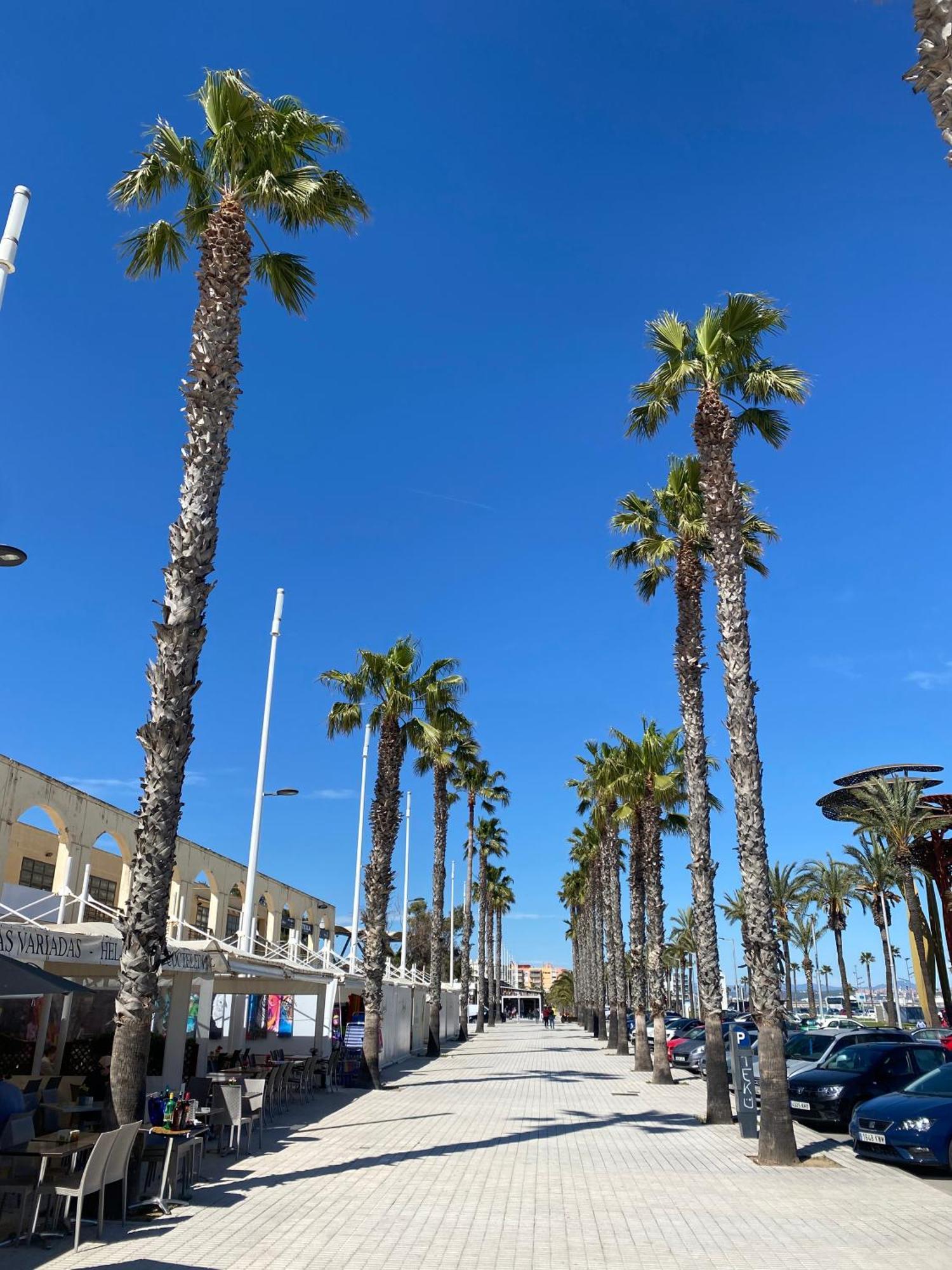 Sun And Beach Lovers 12019 La Pineda Zewnętrze zdjęcie